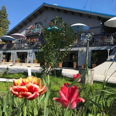 L'Alpen Roc Bed and Breakfast Caille Eksteriør billede